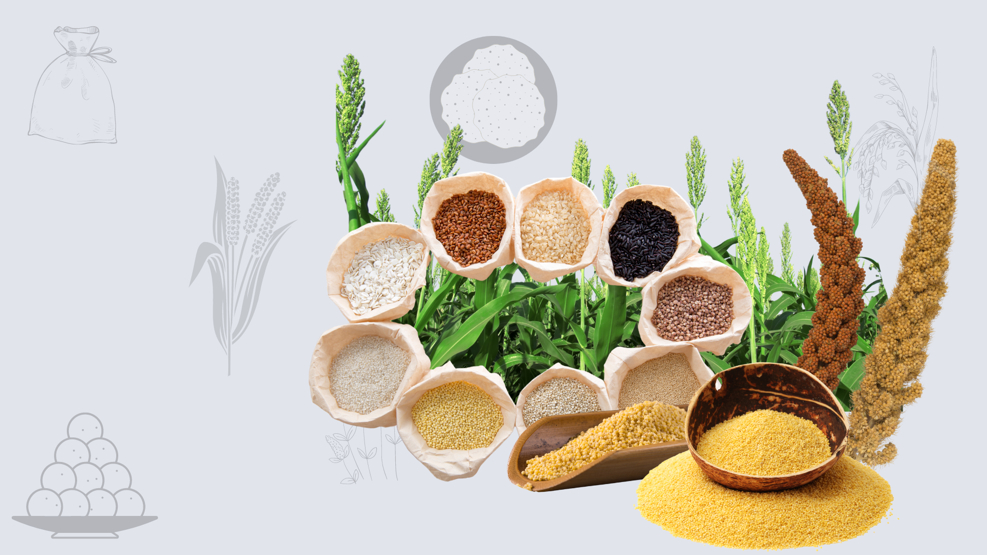 Millet and Millet Products